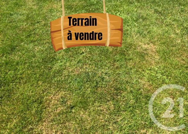 terrain - MACHECOUL ST MEME - 44